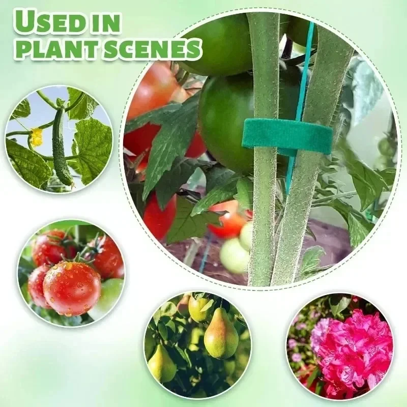 10m/25m Reusable Nylon Plant T – Gear Tie Reusable recenzja i cena